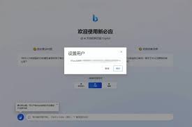 Bing 免费试用步骤