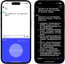 ChatGPT应用网络问题