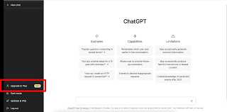 升级到ChatGPT Plus的好处示例