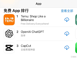 ChatGPT App内购页面