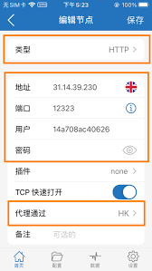 VPN 选择界面