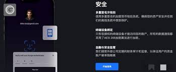 使用Apple Pay进行支付的场景