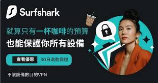 DNS设置和VPN示例