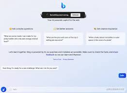 Bing Chat 使用示例