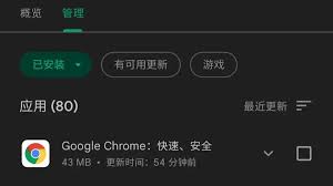 Google Play下载界面