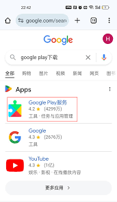 Google Play ChatGPT搜索界面