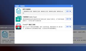 Firefox浏览器上的Merlin ChatGPT使用界面