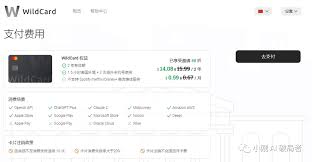 Google Play支付设置界面