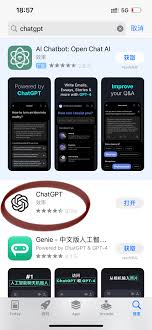 Gpt Plus 登陆页面