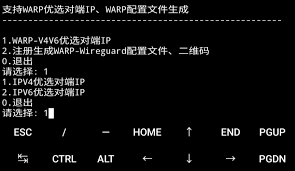 选择IPv6选项