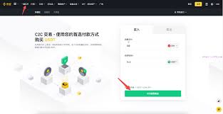 OpenAI信用卡绑定界面