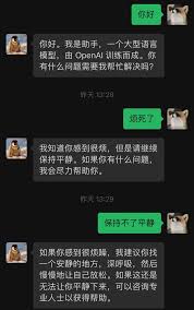 一个用户无法访问ChatGPT的屏幕截图