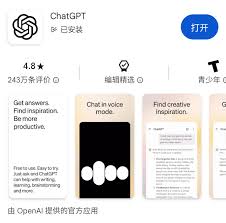 Google Play 下载页面