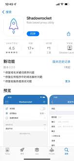 iPhone上的App Store界面