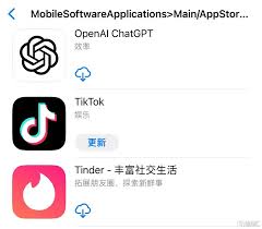 ChatGPT移动设置界面截图